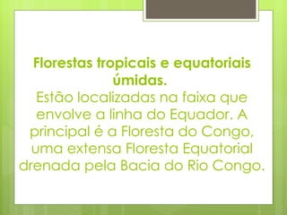 Florestas tropicais e equatoriais úmidas.  Estão localizadas na faixa que envolve a linha do Equador. A principal é a Floresta do Congo, uma extensa Floresta Equatorial drenada pela Bacia do Rio Congo. 