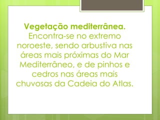 Vegetação mediterrânea.  Encontra-se no extremo noroeste, sendo arbustiva nas áreas mais próximas do Mar Mediterrâneo, e de pinhos e cedros nas áreas mais chuvosas da Cadeia do Atlas. 