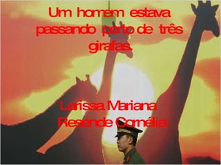 Um  homem  estava  passando  perto de  três  girafas. Larissa Mariana  Resende Cornélia 