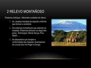 2 RELEVO MONTAÑOSO
Podemos distinguir diferentes unidades de relevo:
     1. As amplias mesetas de aspecto uniforme
        que forman o contiente.
     2. Os sistemas montañosos que salpican as
        mesetas. Podemos destacar os seguintes
        picos : Kilimanjaro, Monte Kenya, Pico
        Albert …..
     3. As depresións que rompen a
        uniformidade das mesetas. Acentuamos
        as cuncas dos ríos Níger e Congo.
 