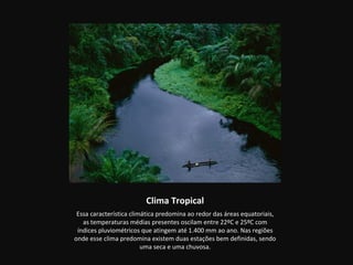 Clima Tropical
 Essa característica climática predomina ao redor das áreas equatoriais,
   as temperaturas médias presentes oscilam entre 22ºC e 25ºC com
 índices pluviométricos que atingem até 1.400 mm ao ano. Nas regiões
onde esse clima predomina existem duas estações bem definidas, sendo
                         uma seca e uma chuvosa.
 