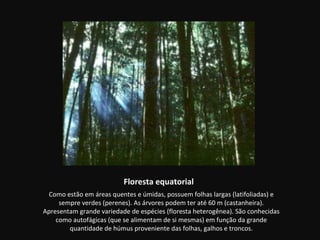 Floresta equatorial
 Como estão em áreas quentes e úmidas, possuem folhas largas (latifoliadas) e
     sempre verdes (perenes). As árvores podem ter até 60 m (castanheira).
Apresentam grande variedade de espécies (floresta heterogênea). São conhecidas
    como autofágicas (que se alimentam de si mesmas) em função da grande
        quantidade de húmus proveniente das folhas, galhos e troncos.
 