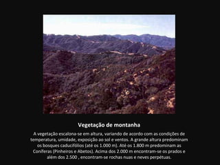 Vegetação de montanha
  A vegetação escalona-se em altura, variando de acordo com as condições de
temperatura, umidade, exposição ao sol e ventos. A grande altura predominam
    os bosques caducifólios (até os 1.000 m). Até os 1.800 m predominam as
 Coníferas (Pinheiros e Abetos). Acima dos 2.000 m encontram-se os prados e
         além dos 2.500 , encontram-se rochas nuas e neves perpétuas.
 