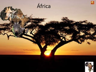 África
 