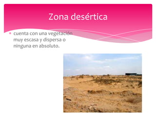 Zona desértica
cuenta con una vegetación
muy escasa y dispersa o
ninguna en absoluto.
 