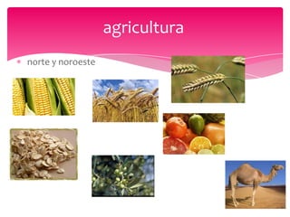 agricultura
norte y noroeste
 