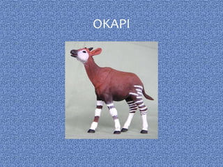 OKAPI
 