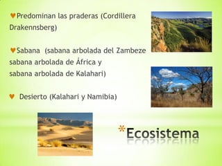 Predominan las praderas (Cordillera
Drakennsberg)


  Sabana (sabana arbolada del Zambeze
sabana arbolada de África y
sabana arbolada de Kalahari)


  Desierto (Kalahari y Namibia)




                                  *
 