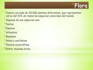 *Flora
* Cuenta con más de 20.000 plantas diferentes, que representan
 cerca del 10% de todas las especies conocidas del mundo.
* Algunas de sus especies son:
* Pastos
* Espinos
* Arbustos
* Baobabs
* Aloes y eurfobias
* Plantas esclerófilas
* Entre muchas otras
 