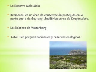 •   La Reserva Mala Mala


•   Kromdraai es un área de conservación protegida en la
    parte oeste de Gauteng, Sudáfrica cerca de Krugersdorp.


•   La Biósfera de Waterberg


•   Total: 178 parques nacionales y reservas ecológicas
 