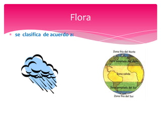 Flora
se clasifica de acuerdo a:
 