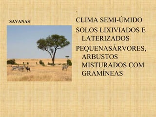SAVANAS

.
CLIMA SEMI-ÚMIDO
SOLOS LIXIVIADOS E
LATERIZADOS
PEQUENASÁRVORES,
ARBUSTOS
MISTURADOS COM
GRAMÍNEAS

 