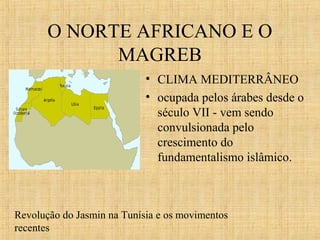 O NORTE AFRICANO E O
MAGREB
• CLIMA MEDITERRÂNEO
• ocupada pelos árabes desde o
século VII - vem sendo
convulsionada pelo
crescimento do
fundamentalismo islâmico.

Revolução do Jasmin na Tunísia e os movimentos
recentes

 