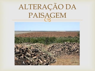 ALTERAÇÃO DA 
PAISAGEM 
 
 