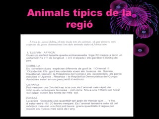 Animals típics de la
regió
 