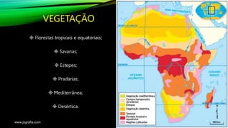VEGETAÇÃO
 Florestas tropicais e equatoriais;
 Savanas;
 Estepes;
 Pradarias;
 Mediterrânea;
 Desértica.
www.jografia.com
 