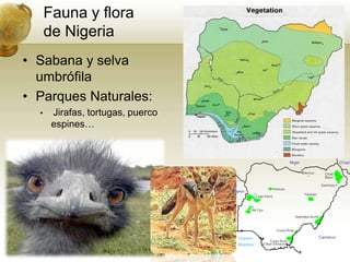Sabana y selvaumbrófilaParquesNaturales:Jirafas, tortugas, puercoespines…Fauna y florade Nigeria