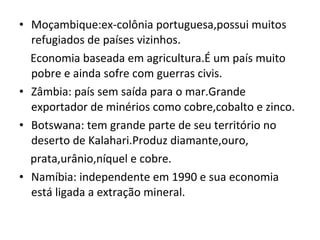 Moçambique:ex-colônia portuguesa,possui muitos refugiados de países vizinhos. Economia baseada em agricultura.É um país muito pobre e ainda sofre com guerras civis. Zâmbia: país sem saída para o mar.Grande exportador de minérios como cobre,cobalto e zinco. Botswana: tem grande parte de seu território no deserto de Kalahari.Produz diamante,ouro, prata,urânio,níquel e cobre. Namíbia: independente em 1990 e sua economia está ligada a extração mineral. 