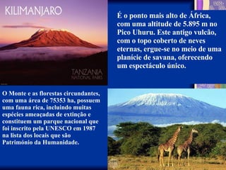 É o ponto mais alto de África, com uma altitude de 5.895 m no Pico Uhuru. Este antigo vulcão, com o topo coberto de neves eternas, ergue-se no meio de uma planície de savana, oferecendo um espectáculo único. O Monte e as florestas circundantes, com uma área de 75353 ha, possuem uma fauna rica, incluindo muitas espécies ameaçadas de extinção e constituem um parque nacional que foi inscrito pela UNESCO em 1987 na lista dos locais que são Património da Humanidade. 