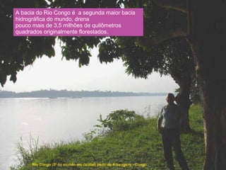 A bacia do Rio Congo é  a segunda maior bacia hidrográfica do mundo, drena pouco mais de 3,5 milhões de quilômetros quadrados originalmente florestados. 