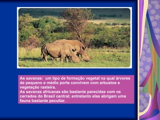 As savanas:  um tipo de formação vegetal na qual árvores de pequeno e médio porte convivem com arbustos e vegetação rasteira. As savanas africanas são bastante parecidas com os cerrados do Brasil central; entretanto elas abrigam uma fauna bastante peculiar. 