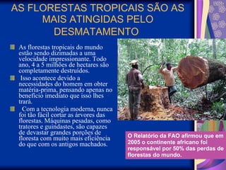 AS FLORESTAS TROPICAIS SÃO AS MAIS ATINGIDAS PELO DESMATAMENTO   As florestas tropicais do mundo estão sendo dizimadas a uma velocidade impressionante. Todo ano, 4 a 5 milhões de hectares são completamente destruídos.  Isso acontece devido a  necessidades do homem em obter matéria-prima, pensando apenas no benefício imediato que isso lhes trará.     Com a tecnologia moderna, nunca foi tão fácil cortar as árvores das florestas. Máquinas pesadas, como tratores e guindastes, são capazes de devastar grandes porções de floresta com muito mais eficiência do que com os antigos machados.  O Relatório da FAO afirmou que em 2005 o continente africano foi responsável por 50% das perdas de florestas do mundo. 