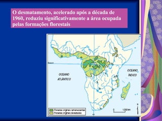 O desmatamento, acelerado após a década de 1960, reduziu significativamente a área ocupada pelas formações florestais 