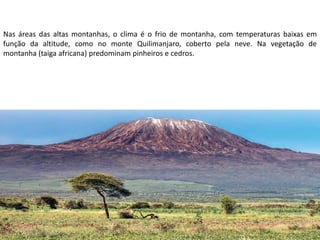 Apresentação elaborada pela Professora FERNANDA LOPES, disciplina de Geografia
Nas áreas das altas montanhas, o clima é o frio de montanha, com temperaturas baixas em
função da altitude, como no monte Quilimanjaro, coberto pela neve. Na vegetação de
montanha (taiga africana) predominam pinheiros e cedros.
 