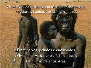 Eram baixos, peludos e encurvados.  Viviam na  África entre 4,2 milhões e  1,4 milhão de anos atrás.  Os indivíduos desse grupo sãos os mais antigos ancestrais conhecidos da humanidade. 