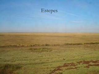 Estepes
 