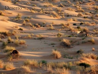 Deserto
 
