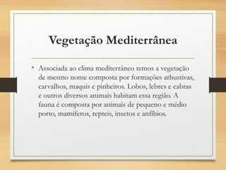 Vegetação Mediterrânea
• Associada ao clima mediterrâneo temos a vegetação
de mesmo nome composta por formações arbustivas,
carvalhos, maquis e pinheiros. Lobos, lebres e cabras
e outros diversos animais habitam essa região. A
fauna é composta por animais de pequeno e médio
porto, mamíferos, repteis, insetos e anfíbios.
 