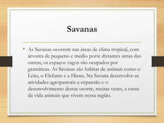Savanas
• As Savanas ocorrem nas áreas de clima tropical, com
árvores de pequeno e médio porte distantes umas das
outras, os espaços vagos são ocupados por
gramíneas. As Savanas são habitat de animais como o
Leão, o Elefante e a Hiena. Na Savana desenvolve-se
atividades agropastoris a expansão e o
desenvolvimento destas ocorre, muitas vezes, a custa
da vida animais que vivem nessa região.
 