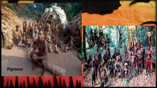 Pigmeus
 