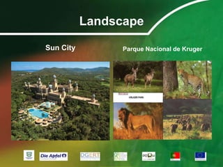 Crescimento demográfico: 0,45% ao ano (2008).