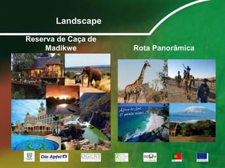 Fecundidade: 3 filhos por mulher (2008).