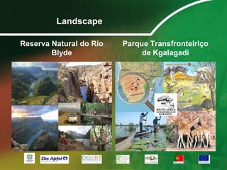 Expectativa de vida M / F: 49,7 / 48,8 anos (2008). 