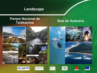 Mortalidade infantil: 44,8 por mil nascimentos (2008). 