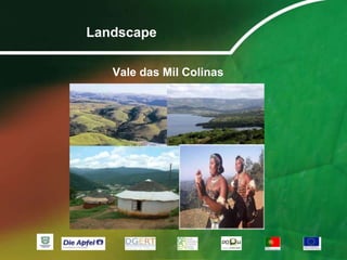 Taxa de natalidade (adultos): 18,87% (2008).