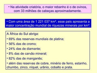 • Na atividade criatória, o maior rebanho é o de ovinos,
com 33 milhões de cabeças aproximadamente.
• Com uma área de 1 221 037 km², esse país apresenta a
maior concentração mundial de riquezas minerais por km².
A África do Sul abriga:
• 69% das reservas mundiais de platina;
• 56% das de cromo;
• 24% das de diamante;
• 8% das de carvão mineral;
• 82% das de manganês;
• além das reservas de cobre, minério de ferro, estanho,
chumbo, zinco, níquel, urânio, cobalto e prata.

 