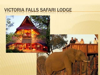 VICTORIA FALLS SAFARI LODGE
 