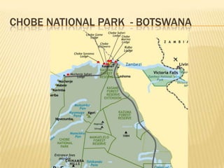 CHOBE NATIONAL PARK - BOTSWANA
 
