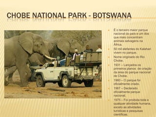 CHOBE NATIONAL PARK - BOTSWANA
 É o terceiro maior parque
nacional do país e um dos
que mais concentram
animais selvagens na
África.
 50 mil elefantes do Kalahari
vivem no parque.
 Nome originado do Rio
Chobe.
 1931 – Lançados os
primeiros planos de criação
da área do parque nacional
de Chobe.
 1960 – O parque foi
oficialmente criado.
 1967 – Declarado
oficialmente parque
nacional.
 1975 – Foi proibida toda e
qualquer atividade humana,
exceto as atividades
turísticas e pesquisas
científicas.
 