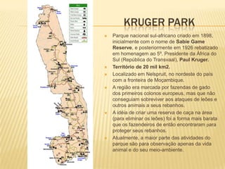 KRUGER PARK
 Parque nacional sul-africano criado em 1898,
inicialmente com o nome de Sabie Game
Reserve, e posteriormente em 1926 rebatizado
em homenagem ao 5º. Presidente da África do
Sul (República do Transvaal), Paul Kruger.
 Território de 20 mil km2.
 Localizado em Nelspruit, no nordeste do país
com a fronteira de Moçambique.
 A região era marcada por fazendas de gado
dos primeiros colonos europeus, mas que não
conseguiam sobreviver aos ataques de leões e
outros animais a seus rebanhos.
 A idéia de criar uma reserva de caça na área
(para eliminar os leões) foi a forma mais barata
que os fazendeiros de então encontraram para
proteger seus rebanhos.
 Atualmente, a maior parte das atividades do
parque são para observação apenas da vida
animal e do seu meio-ambiente.
 