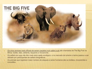  Os cinco animais mais díficeis de serem caçados num safari a pé são chamados de The Big Five na
África: búfalo, leão, elefante, leopardo e rinoceronte.
 Os safáris de caça não têm mais tanto apelo ecológico, e no mercado de turismo o termo passou a ser
utlizado por participantes de safaris fotográficos.
 Os animais que registram maior número de ataques a seres humanos são os búfalos, rinocerentes e
crocodilos.
THE BIG FIVE
 