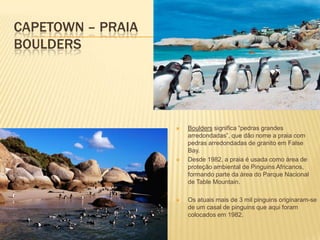 CAPETOWN – PRAIA
BOULDERS
 Boulders significa “pedras grandes
arredondadas”, que dão nome a praia com
pedras arredondadas de granito em False
Bay.
 Desde 1982, a praia é usada como área de
proteção ambiental de Pinguins Africanos,
formando parte da área do Parque Nacional
de Table Mountain.
 Os atuais mais de 3 mil pinguins originaram-se
de um casal de pinguins que aqui foram
colocados em 1982.
 