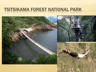 TSITSIKAMA FOREST NATIONAL PARK
 