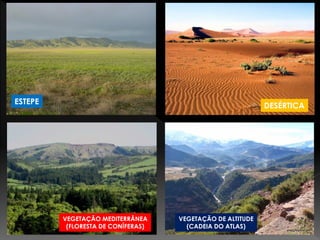 ESTEPE 
DESÉRTICA 
VEGETAÇÃO MEDITERRÂNEA 
(FLORESTA DE CONÍFERAS) 
VEGETAÇÃO DE ALTITUDE 
(CADEIA DO ATLAS) 