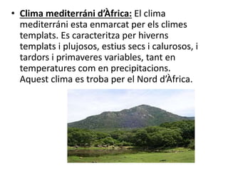 • Clima mediterráni d’Àfrica: El clima
mediterráni esta enmarcat per els climes
templats. Es caracteritza per hiverns
templats i plujosos, estius secs i calurosos, i
tardors i primaveres variables, tant en
temperatures com en precipitacions.
Aquest clima es troba per el Nord d’Àfrica.
 