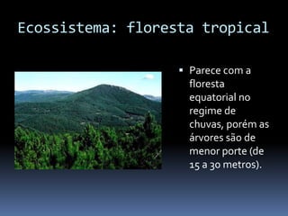 Ecossistema: floresta tropical
 Parece com a
floresta
equatorial no
regime de
chuvas, porém as
árvores são de
menor porte (de
15 a 30 metros).
 